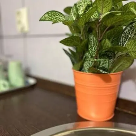 Apartment A13 Parliament Sunflower Cozy *